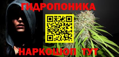 соль ск Новодвинск