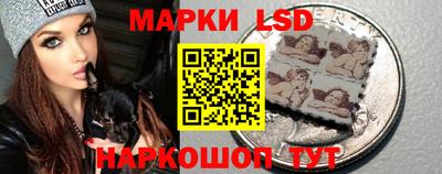 соль ск Новодвинск