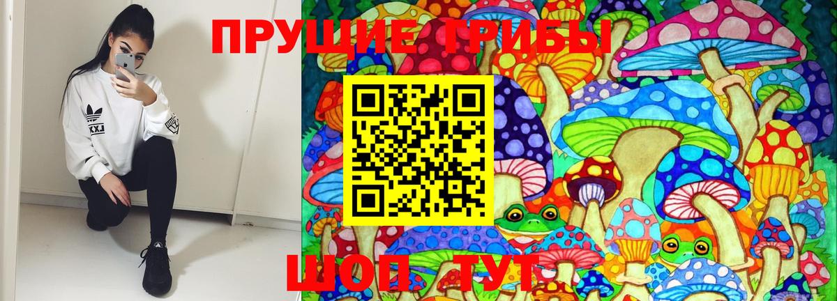 Псилоцибиновые грибы GOLDEN TEACHER Евпатория